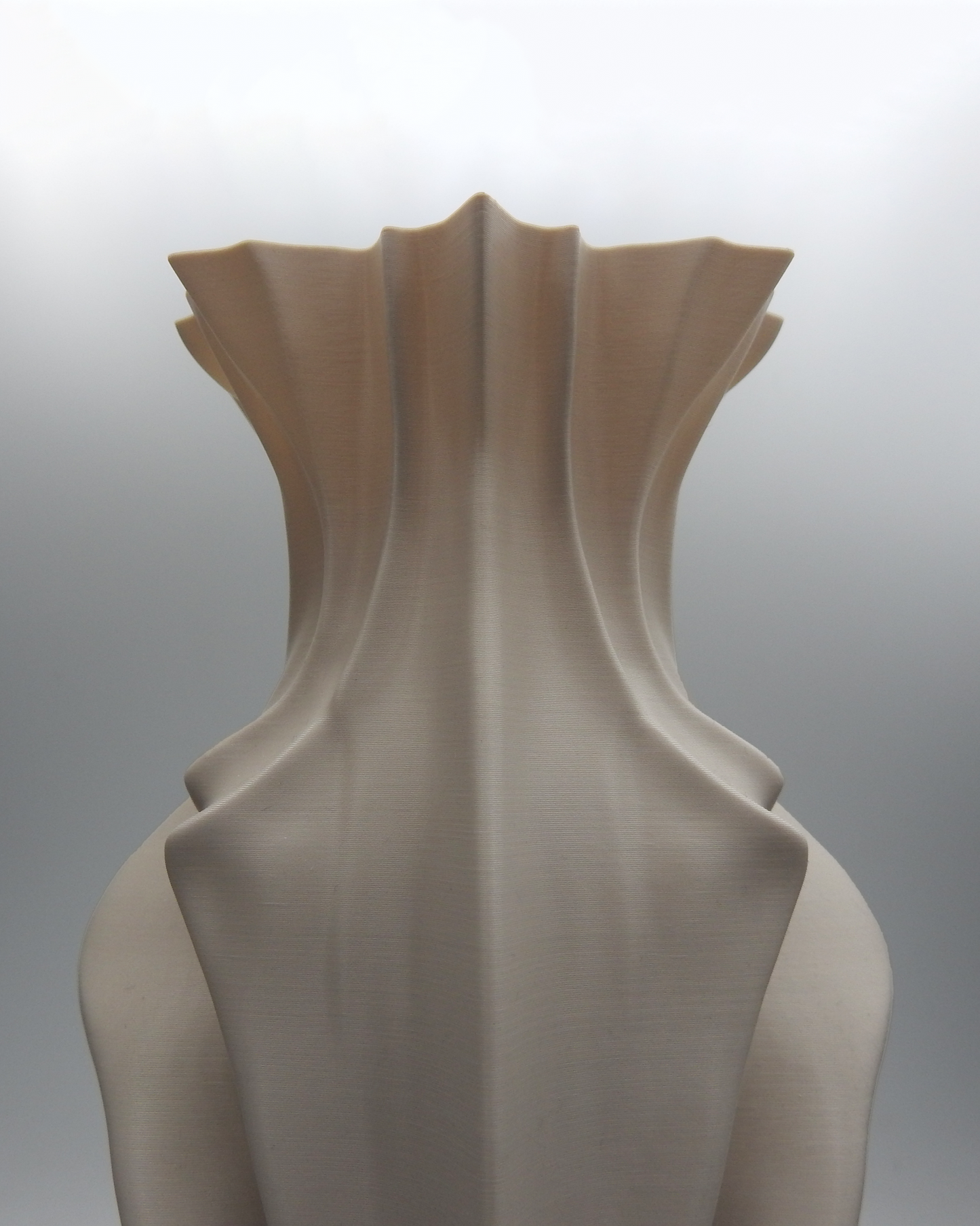 Mantae Vase (3D Print - Biosynthesis Collection)