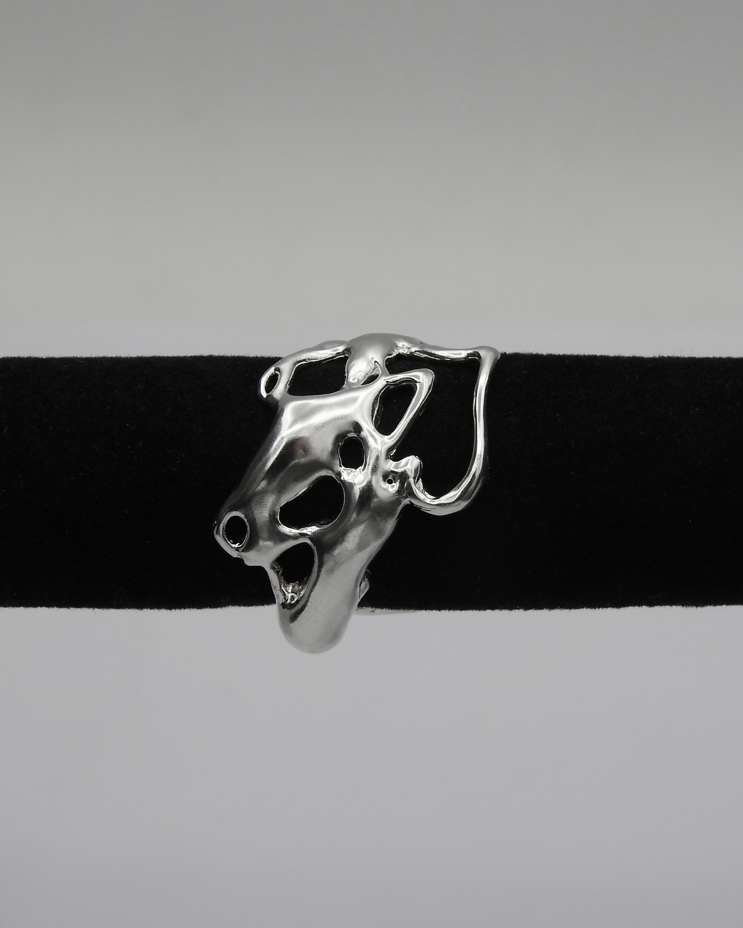 Bi-Morph Ring