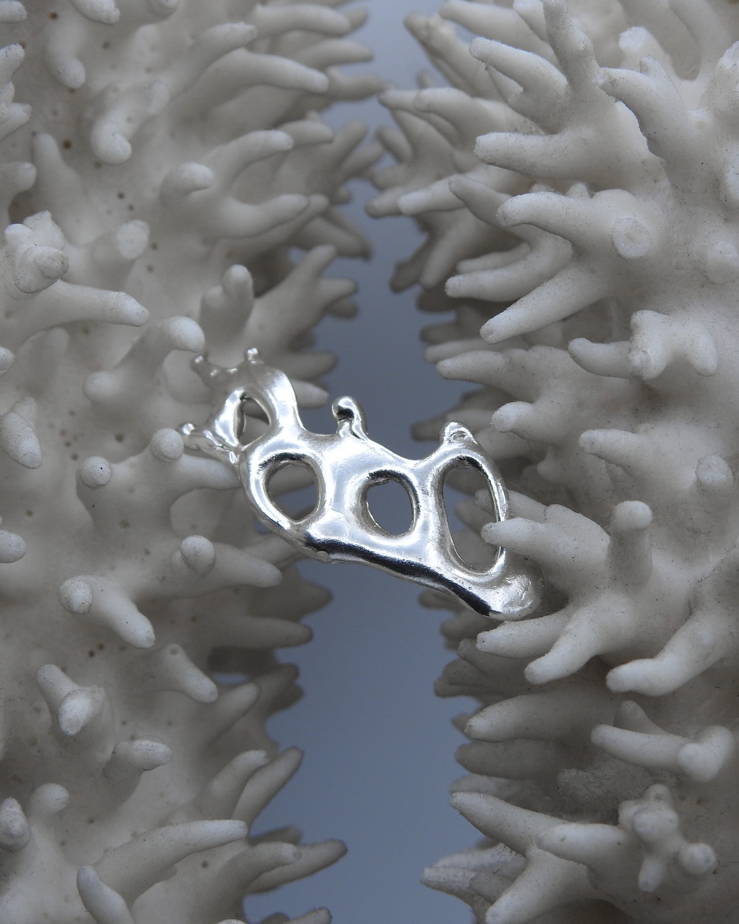 Morphwing Earring