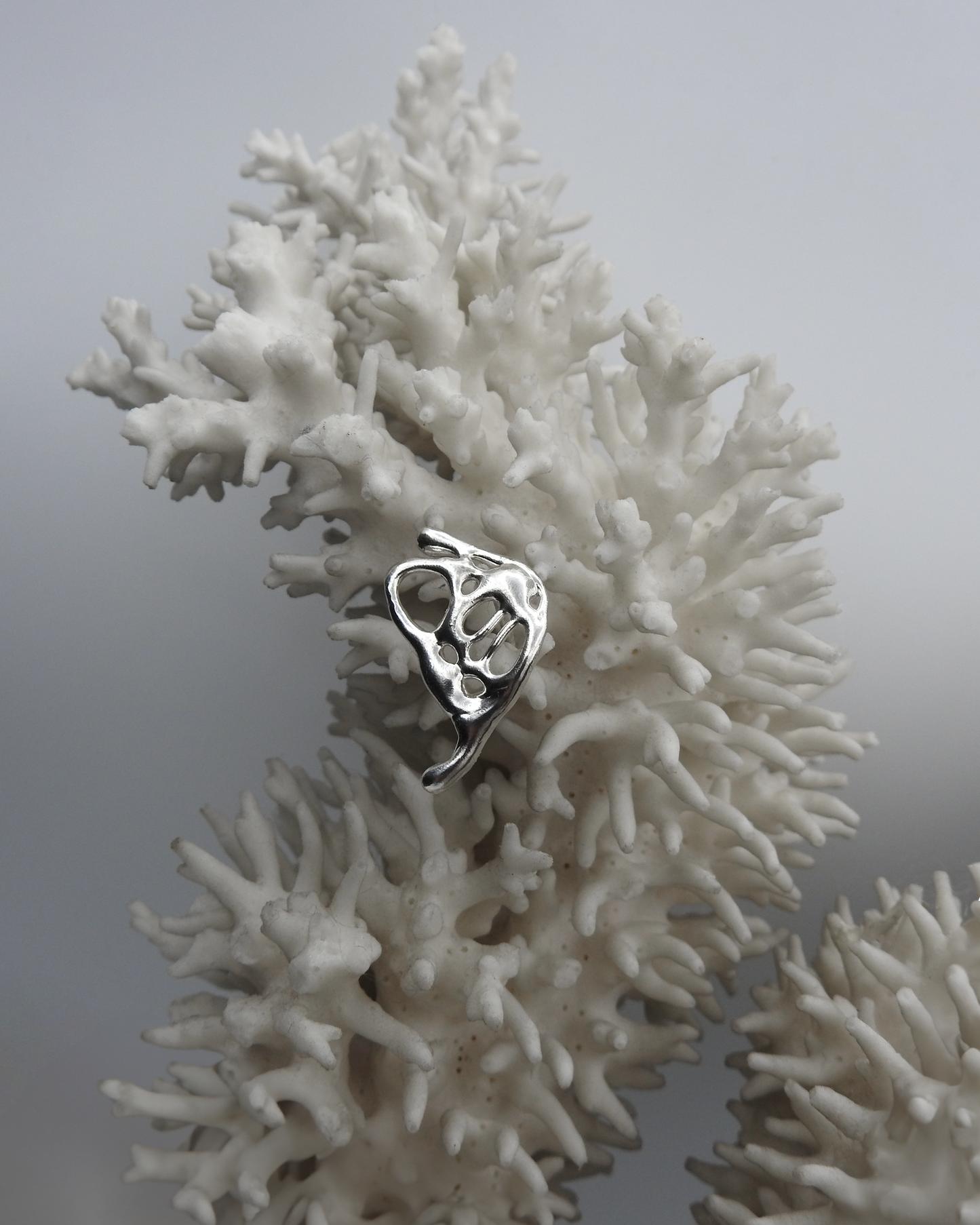 Papillonae Earring