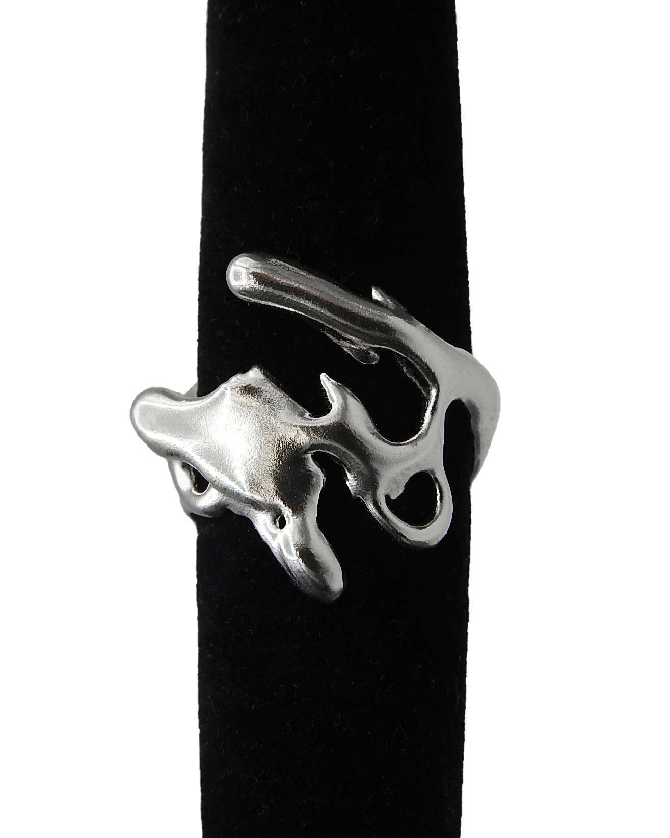 Morph Ring