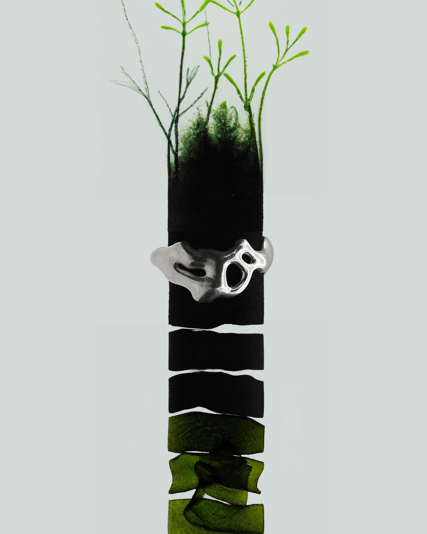 Algae Ring
