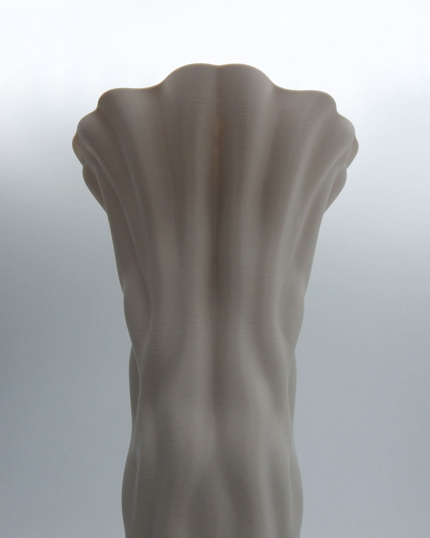 Myogenesis Vase (3D Print - Biosynthesis Collection)